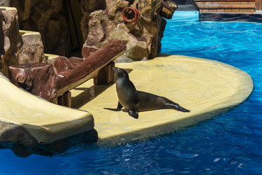 Similar image 15923948