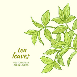 Similar image 16572382