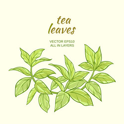 Similar image 16572399