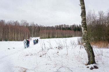 Similar image 16118822