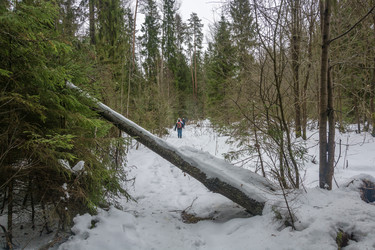 Similar image 16119457