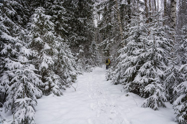 Similar image 16119684