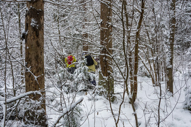 Similar image 16119947