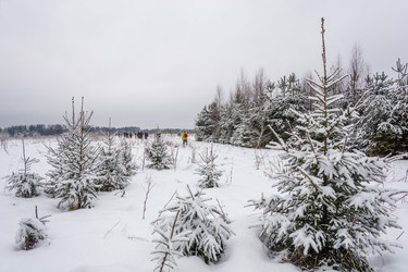 Similar image 16120085