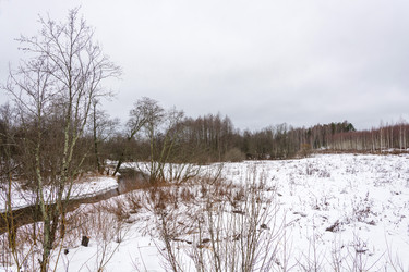 Similar image 16119585