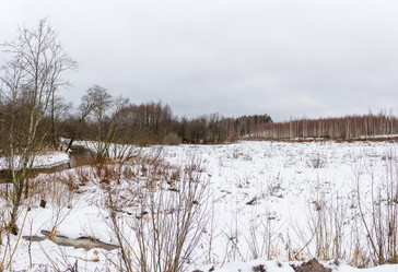 Similar image 16119662