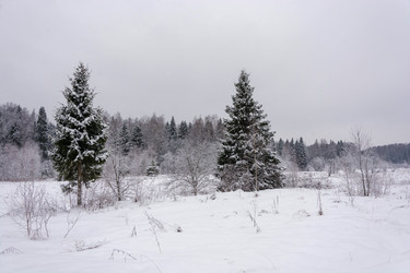 Similar image 16120041