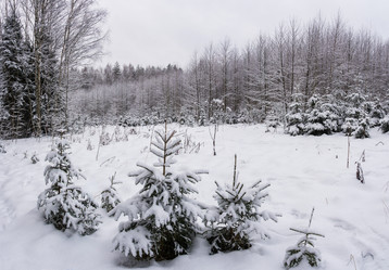 Similar image 16120256