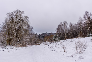 Similar image 16120312