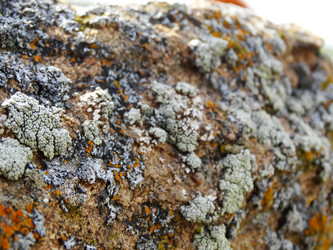 Similar image 15925422