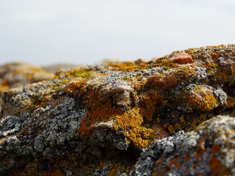 Similar image 15925295