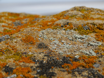 Similar image 15925297