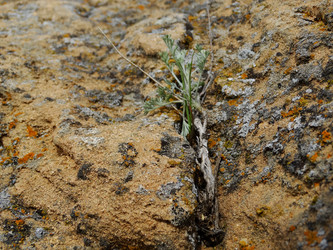 Similar image 15925298