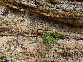 Similar image 15925299