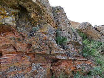 Similar image 15925316