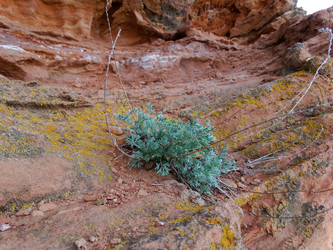 Similar image 15925320