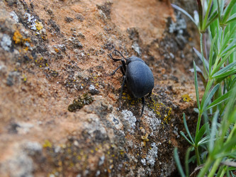 Similar image 15925324