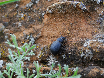 Similar image 15925340