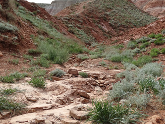 Similar image 15925355