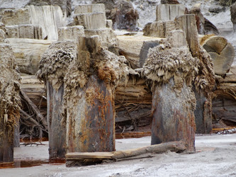 Similar image 15925373