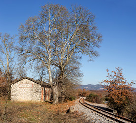 Similar image 15925558