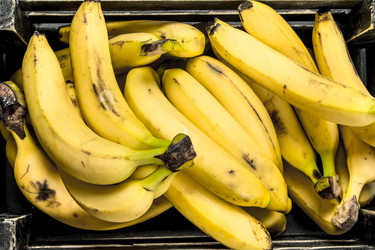 Similar image 15917184