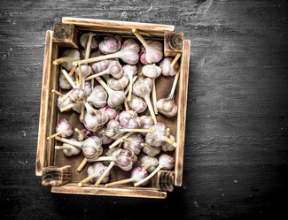 Similar image 15920411