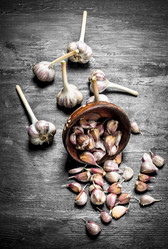 Similar image 15920464