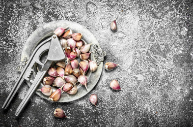 Similar image 15920585