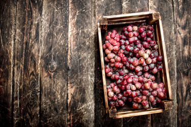 Similar image 15920766