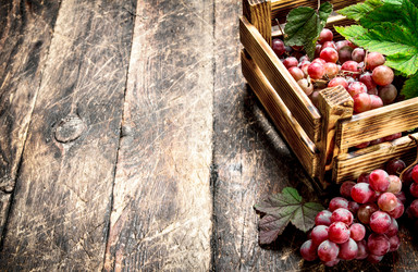 Similar image 15920822