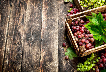 Similar image 15920871