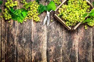 Similar image 15920909