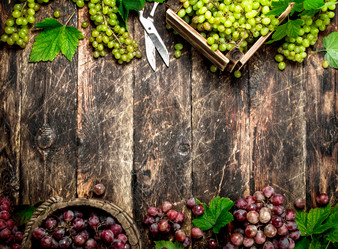 Similar image 15920923