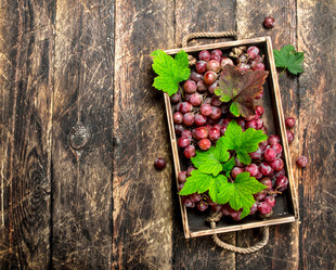 Similar image 15920951