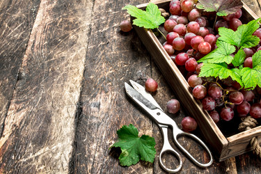 Similar image 15920991