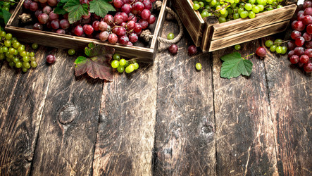 Similar image 15921009