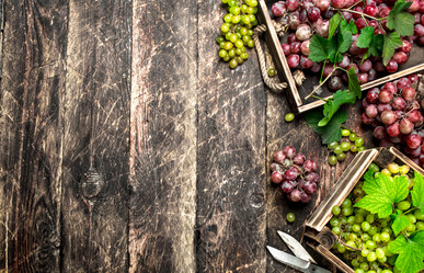 Similar image 15921046