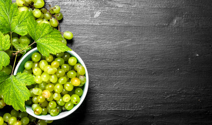 Similar image 15921107