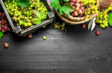 Similar image 15921126