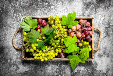 Similar image 15921460