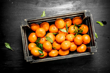 Similar image 15921982