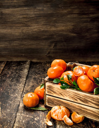 Similar image 15922228