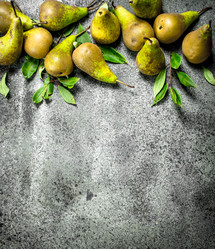 Similar image 15924128