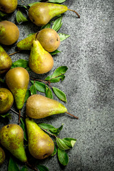 Similar image 15914843