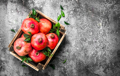 Similar image 15917511