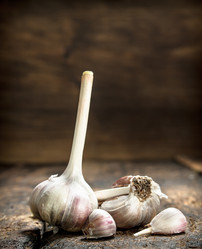 Similar image 15922071