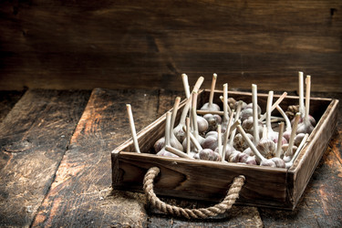 Similar image 15922092