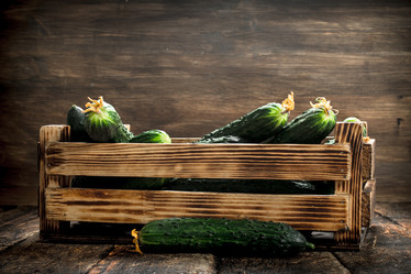 Similar image 15922152