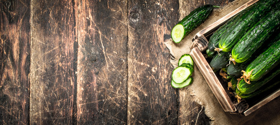 Similar image 15922192